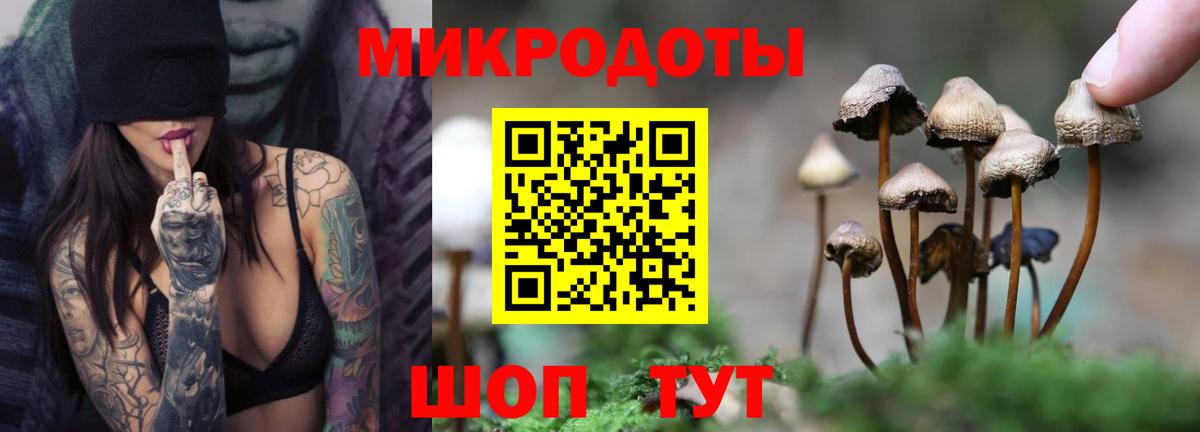 Галлюциногенные грибы Cubensis  Вход с VPN  Галлюциногенные грибы ЛСД  закладка  Луховицы 